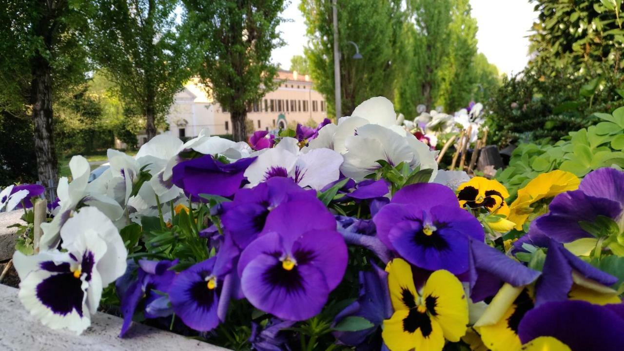 Biancavilla B&B Брешия Экстерьер фото